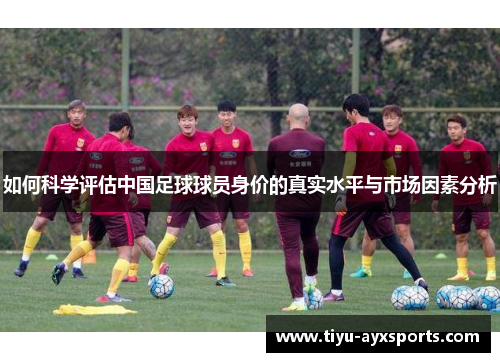 如何科学评估中国足球球员身价的真实水平与市场因素分析