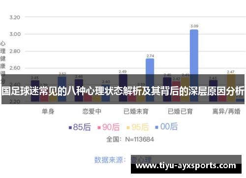 国足球迷常见的八种心理状态解析及其背后的深层原因分析