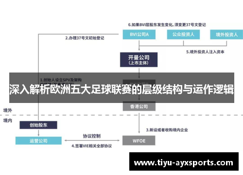 深入解析欧洲五大足球联赛的层级结构与运作逻辑